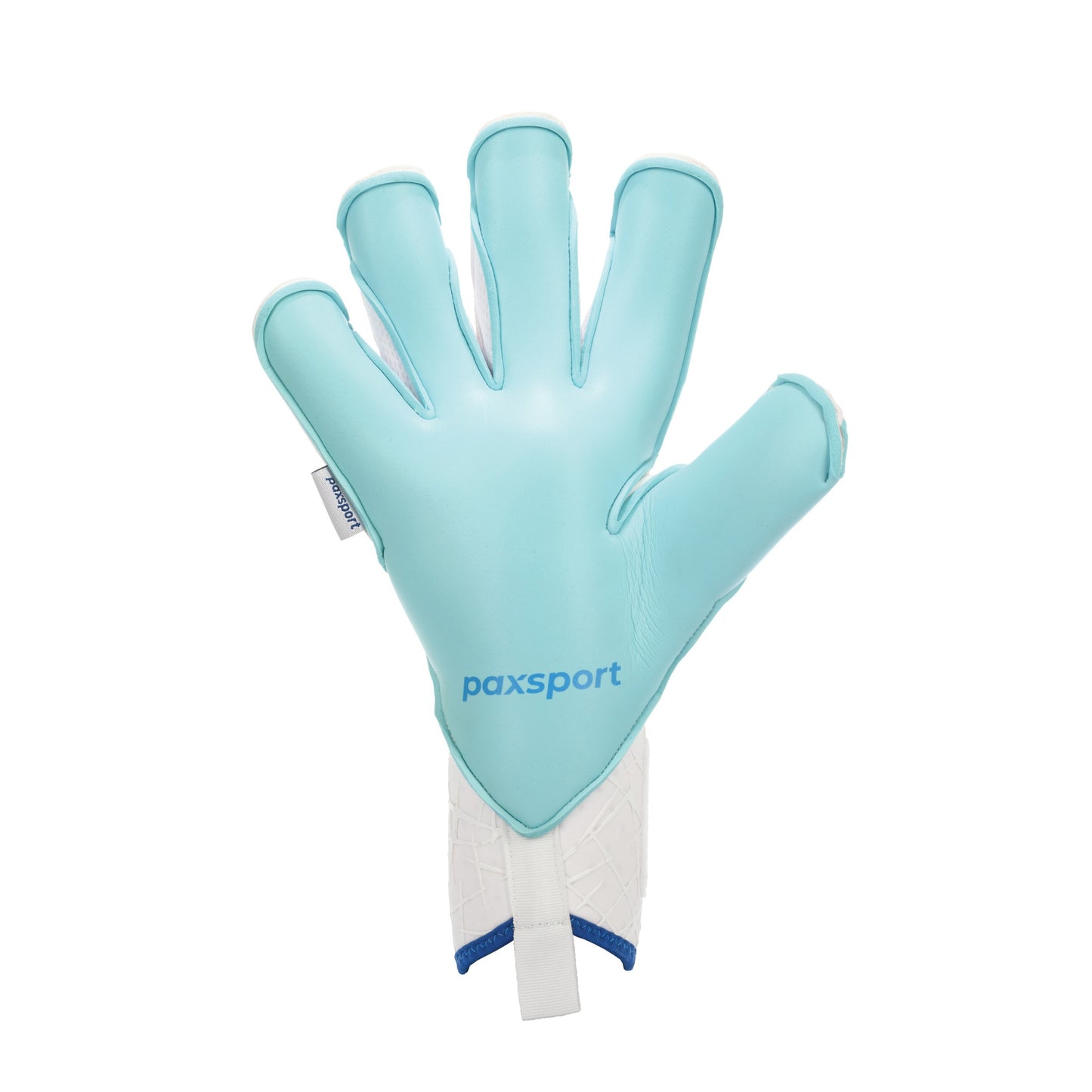 CLASSIC 2.0 | Aqua | Adult Goalkeeper Gloves | Roll Finger | Aqua Grip Latex